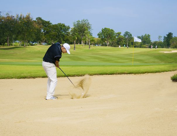 Majestic Creek Country Club (16)