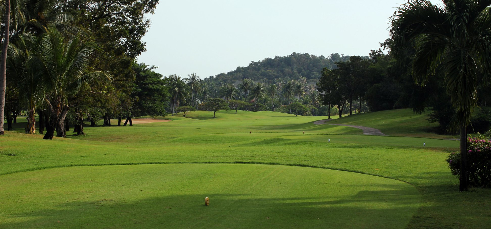 Palm Hills (18)