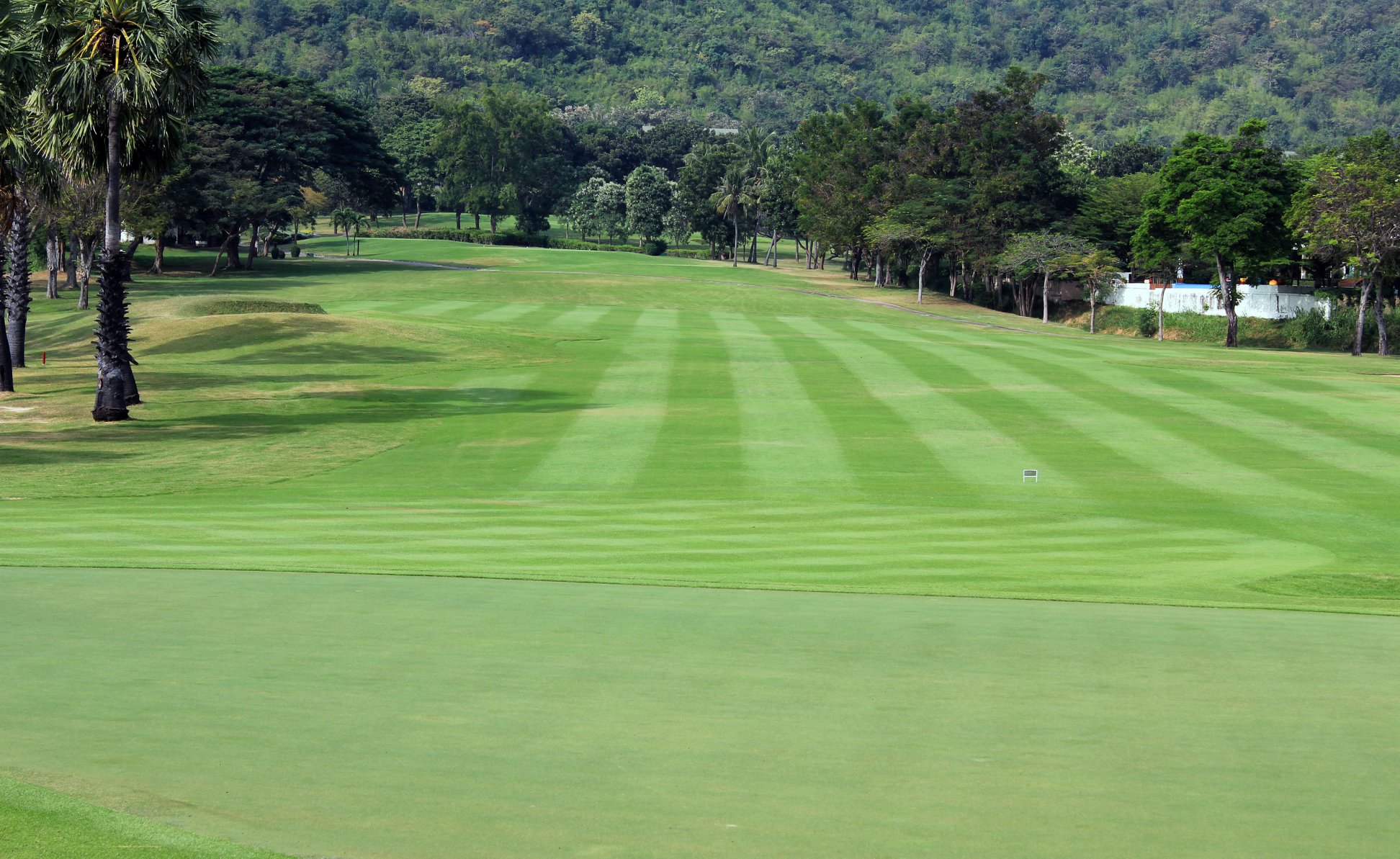 Palm Hills (19)