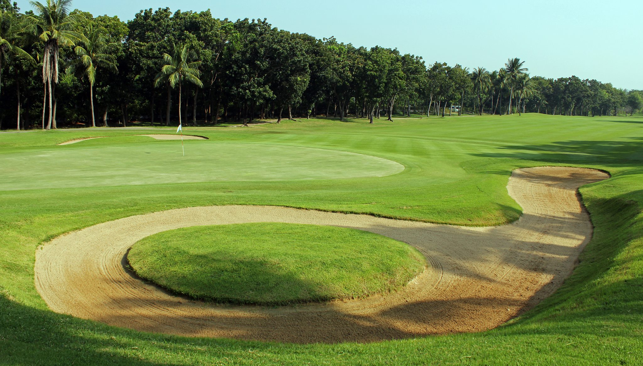 Palm Hills (21)