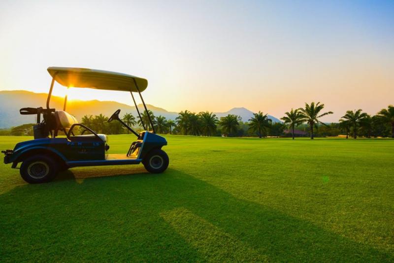 Palm Hills (23)