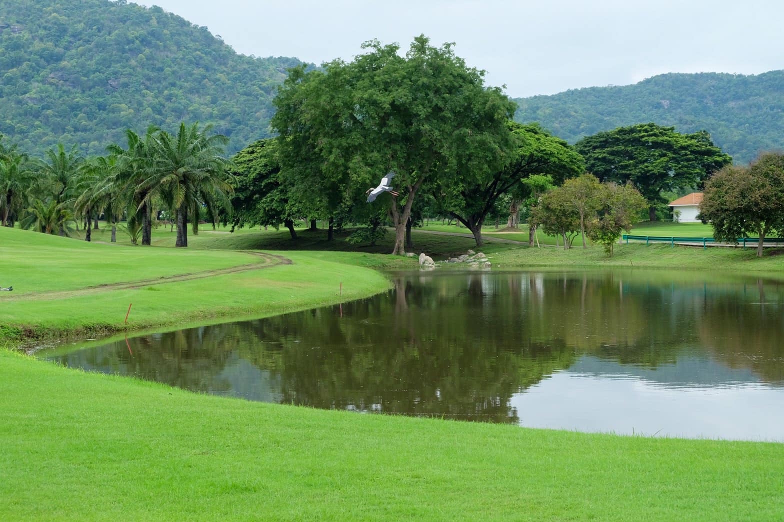 Palm Hills (5)