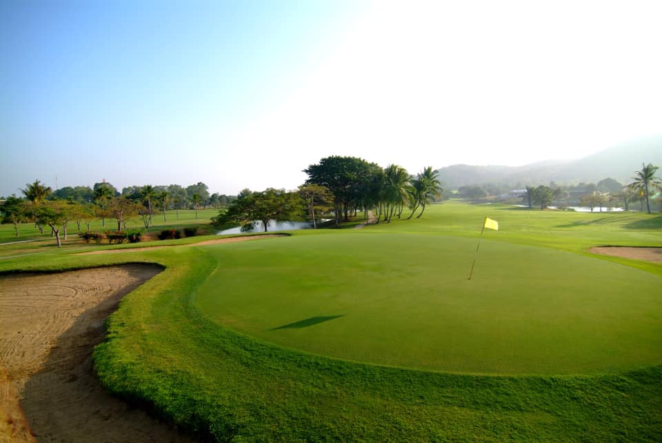 Palm Hills (14)