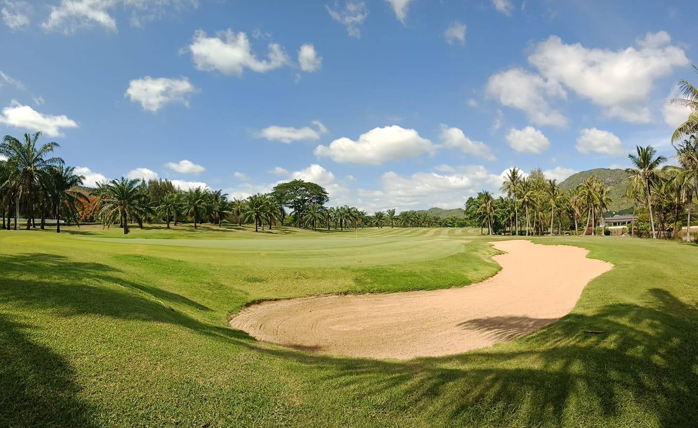 Palm Hills (15)