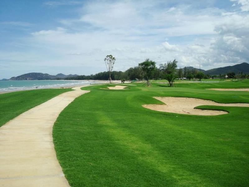 Sea Pine (Suan son) (11)