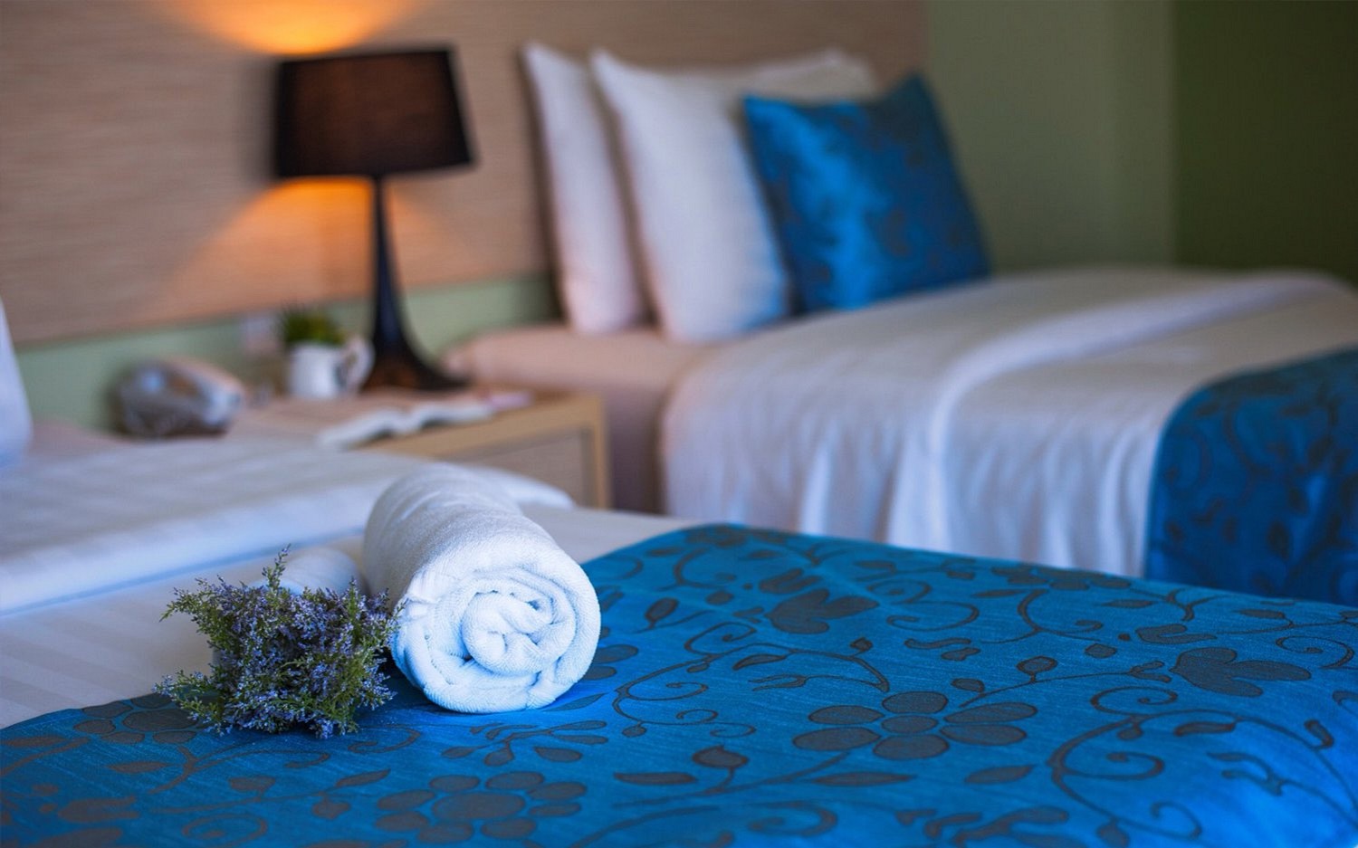 Thipurai City Hotel (5)